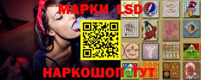 стаф Будённовск