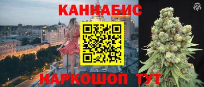 стаф Будённовск